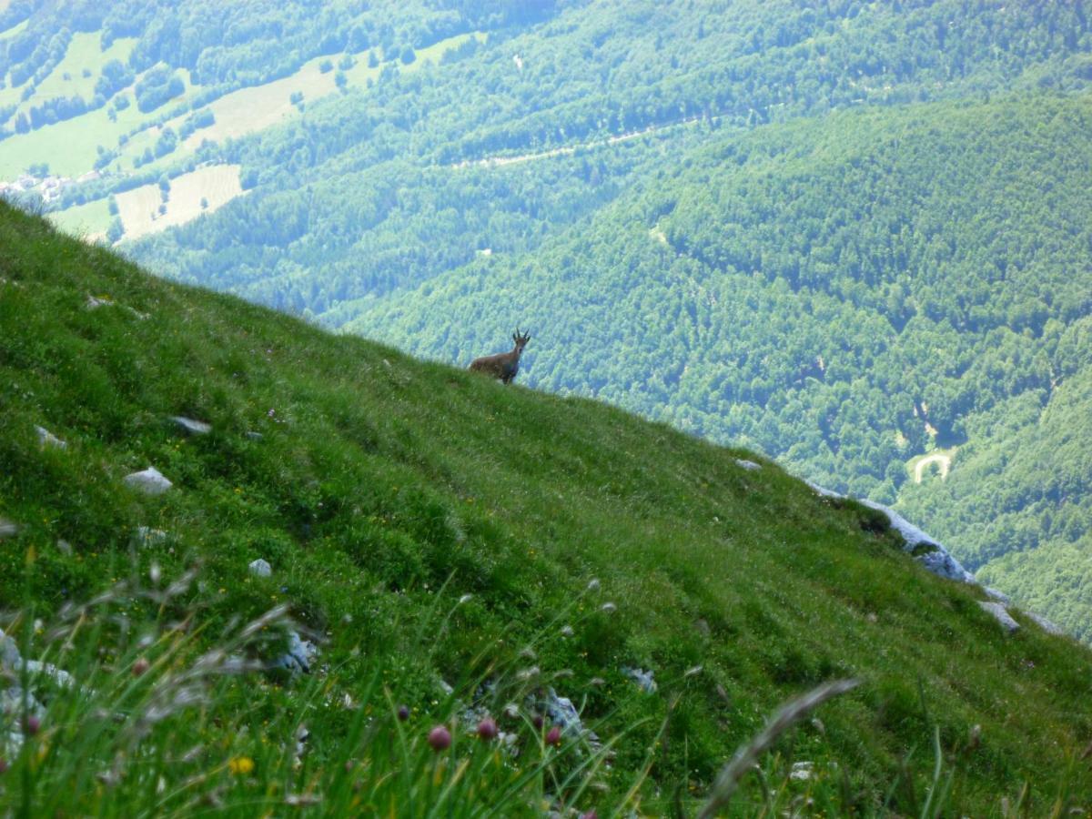 La Moraine Lägenhet Villard-de-Lans Exteriör bild